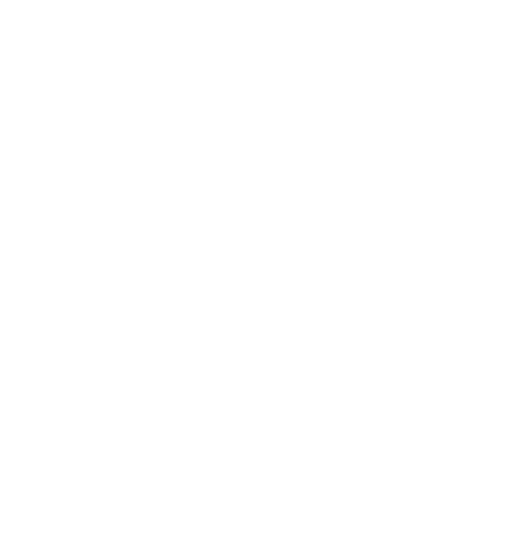 Cirque D'Or logo